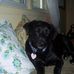 Profile Picture of Marsha Block (@marsha.block.50) on Facebook