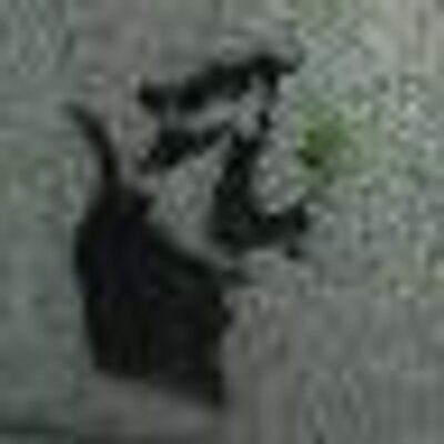 Profile Picture of Vincent Dion (@VinceDion) on Twitter