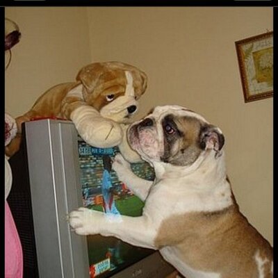 Profile Picture of Bob Joe Jill (@Annrad78) on Twitter