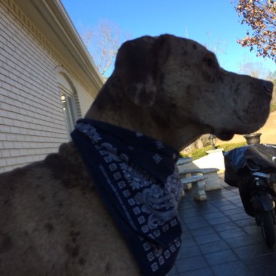 Profile Picture of Robert Wayne (@robertables1) on Twitter