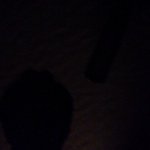 Profile Picture of Nancy Hori (@nannyjeanc) on Instagram