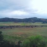 Thomas billiman - Instagram Profile Picture of Thomas billiman (@thomasbilliman) on Instagram