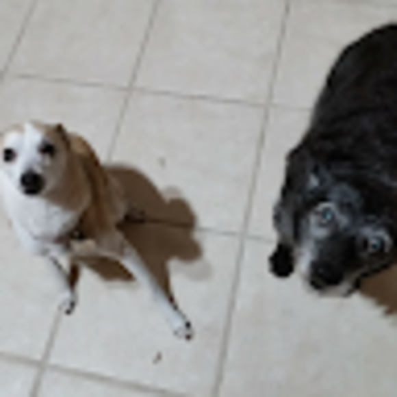 Profile Picture of Edward Case (@97bluehd) on Poshmark