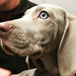 Profile Picture of Lucy Adkins-Rizzardi (@lucyadkrizz) on Instagram