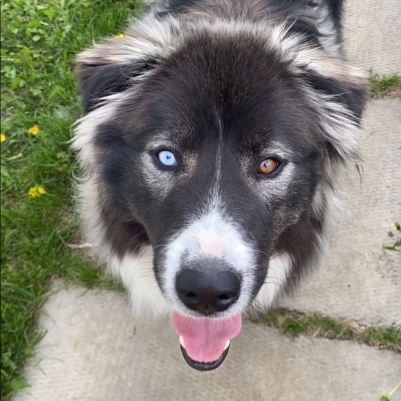 Profile Picture of Addison Rogers (@adda_r) on Poshmark