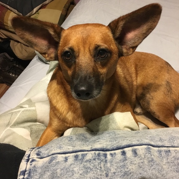 Lynn Finch - Poshmark Profile Picture of Lynn Finch (@lynnfinch) on Poshmark