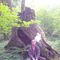 Profile Picture of Adam DeHart (@adam.dehart.31) on Facebook