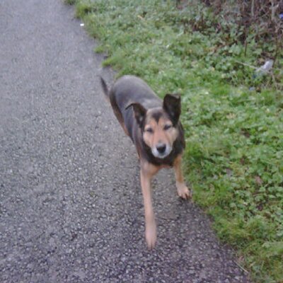 Profile Picture of David Blackhall (@BristolCWU) on Twitter