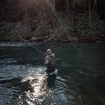 Profile Picture of Scott Dillon (@graciebjjwinston_salem) on Instagram