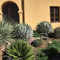 Profile Picture of Deborah Rasmussen (@deborah-rasmussen-1) on Quora