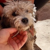 Profile Picture of Jason Teves (@jasonteves6988) on Youtube