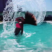 Profile Picture of Ory13 Marco Llamas (@ory13marcollamas61) on Youtube