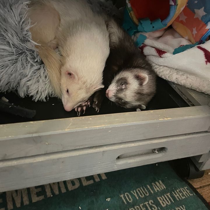 Profile Picture of brendanhannahclam (@brendanhannahclam) on Tiktok