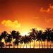Profile Picture of Doris Canfield (@dorcan) on Pinterest