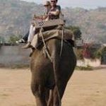 Profile Picture of Stephen Anson (@stephenanson) on Instagram