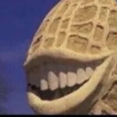 Profile Picture of Max Eckardt (@EckardtMax) on Twitter