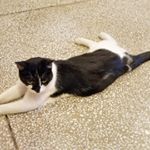 Profile Picture of Xiaoyong Liu (@xiaoyong.liu.7121) on Instagram