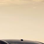 Profile Picture of Ammerman Andrew (@ammermanandrew) on Instagram