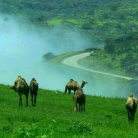 Profile Picture of Ahmed Shamas (@ahmed-shamas) on Quora