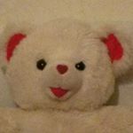 Joshua Clements - Instagram Profile Picture of Joshua Clements (@human_calc_defunct) on Instagram