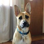 Profile Picture of Brandon Eley (@beley8487) on Instagram