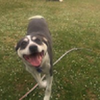 Profile Picture of Larissa Freeman (@larissa-freeman-9) on Quora