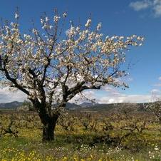 Profile Picture of Florence DUFOUR (@fldufour) on Twitter