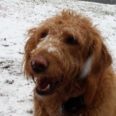 Profile Picture of Eric B Pingel (@epingel) on Twitter