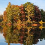 Profile Picture of Lisa Argo Maudet (@argomaudet) on Instagram