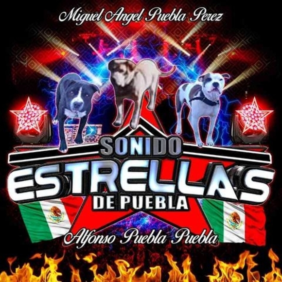 Miguel Puebla - Poshmark Profile Picture of Miguel Puebla (@ciriloperez421) on Poshmark