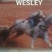 Profile Picture of Wesley We (@wesley.we.94801) on Facebook