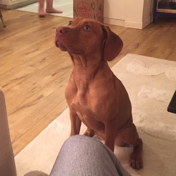 Profile Picture of Alexander Linde (@djsparkletoe) on Poshmark