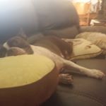 Profile Picture of Jessica Chapel (@jchapel20) on Instagram