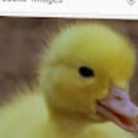 Max Watson - Poshmark Profile Picture of Max Watson (@xanexquacker29) on Poshmark