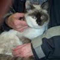 Profile Picture of Danny Robb (@danny-robb-9) on Quora