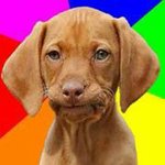 Profile Picture of Adam DeShong (@adamdeshong) on Instagram