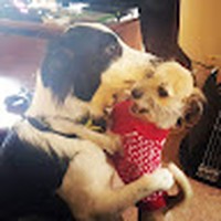 Profile Picture of Crystal Rawson (@crystal-rawson-5) on Quora