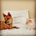 Susie Call - Instagram Profile Picture of Susie Call (@callsuze) on Instagram