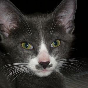 Dion Kelley - Myspace Profile Picture of Dion Kelley (@190763676) on Myspace