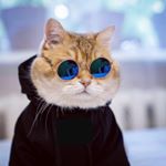 Profile Picture of Robert Haufler (@robert.haufler) on Instagram