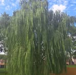 Profile Picture of Robert Haberley (@robert.haberley) on Facebook