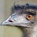 Profile Picture of Clarke Gable (@clarke.gable.758) on Facebook