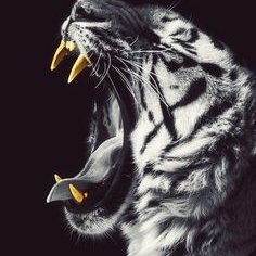 Profile Picture of David Goodhart (@goodhart_david) on Twitter