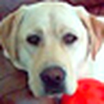 Profile Picture of Yang Gundul (@Yang Gundul) on Flickr