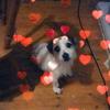 Profile Picture of Sharren Branch (@sharrenbranch) on Tiktok