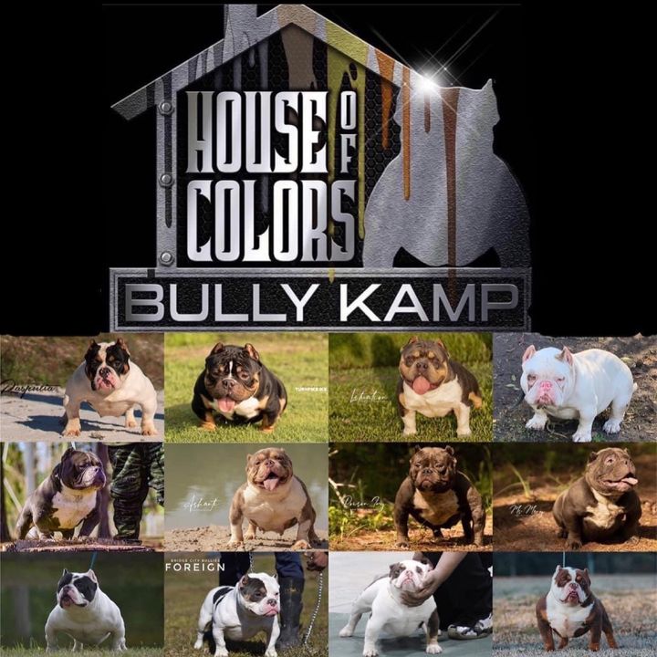 Profile Picture of Joe_nathan_bradley (@joe_nathan_bradley) on Tiktok