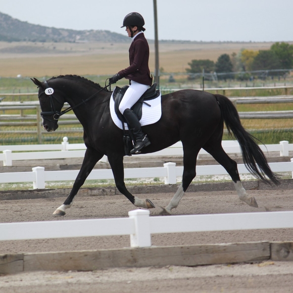 Profile Picture of Kailey Dascomb (@kaileysuzanne06) on Poshmark