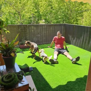 david - Instagram Profile Picture of david (@davidekis) on Instagram