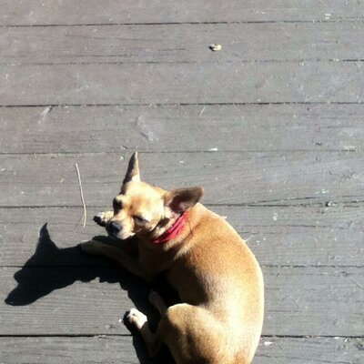 Profile Picture of Hailey Lucas (@HaileyLuxas) on Twitter