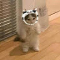 Profile Picture of Fernanda Antonella Ramos Luyo (@fernanda-antonella-ramos-luyo) on Quora